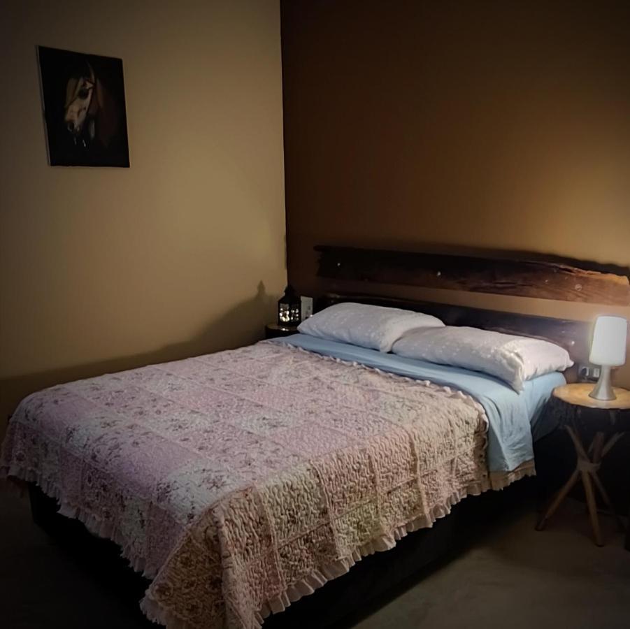イカ Luchy'S Country Houseホステル エクステリア 写真